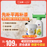 立邦墙面修复补墙膏荷净补墙漆防水防霉抗菌腻子膏白色 500g+2.5kg