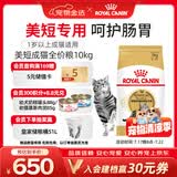 皇家美短成猫粮 ASA31 通用粮 12月以上 10KG