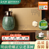 碧螺2026年春茶绿茶老茶树碧螺王苏州碧螺春特级一等42g明前送人礼盒
