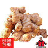 【精选2年老姜】正宗云南小黄姜高山沙姜老姜土姜蔬菜农家 5斤 净重4.5斤【火爆鲜选 店长推荐】