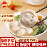 潮兴记 马鲛鱼丸 潮汕风味手打鱼丸手工火锅食材烧烤关东煮生鲜潮州丸子 马鲛鱼丸250g