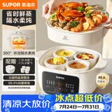 苏泊尔（SUPOR）电炖锅电炖盅隔水炖家用多功能煲汤炖汤盅陶瓷燕窝炖盅一盅五胆蒸炖一体 DZ25YC886