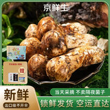 京鲜生 香格里拉新鲜松茸2斤 云南未开伞5-7cm鲜菌菇礼盒 源头直发包邮