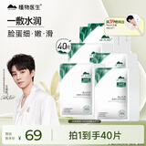植物医生【王俊凯同款】白茶清透补水面膜修护保湿敏肌面膜