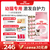 皇家猫粮 离乳期幼猫粮干湿套装BK34 2KG+幼猫湿粮罐头BMC 88g*6