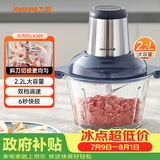 九阳（Joyoung）绞肉机家用绞馅机 碎肉机 电动多功能料理 饺子肉馅蒜蓉机不锈钢 搅肉机S22-LA309