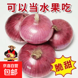 山东特产水果扁洋葱甜瓜口感红皮扁葱头生吃脆甜蘸酱好吃粉嫩 紫皮洋葱大果带箱 5斤净重4.5斤 精选