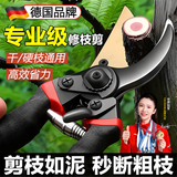 FACE MINI德国品牌修剪树枝专用剪刀果树剪枝修树枝园林园艺粗枝修花剪盆栽