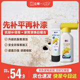 立邦墙面修复补墙膏补墙漆刮板防霉堵洞抗裂去污抗菌白色 100ml+500g