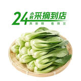 七鲜24小时油菜苗250g(长度≤17cm)