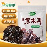 十月稻田 东北黑木耳 150g 肉厚无根 菌菇 黑龙江东宁特产 火锅炒菜煲汤