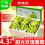 京地达云南阳光玫瑰葡萄精品净重4.3斤中果8g新鲜青提水果源头直发包邮