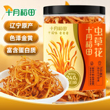 十月稻田 虫草花 80g 辽宁产虫草花 大孢头 煲汤凉拌 羊肚菌 菌菇汤包