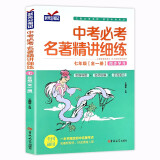 初中名著导读考点精练中考必考名著精讲细练七年级全套一本中考名著考点精练全本名著考点精练状元满分笔记