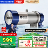 惠尔顿（WHEELTON） 全屋中央净水器系统家用厨下净水器前置过滤器自来水农村井水大流量管道超滤机别墅小区房车商用 UF2厨房/房车够用4000L