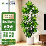 爱优尚金心百合竹高级造型盆栽室内客厅阳台真绿植造型乔迁礼物源头直发