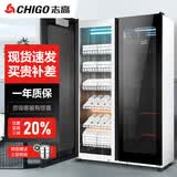 志高（CHIGO）毛巾消毒柜商用 立式双开门中温烘干美容院发廊洗浴会所 臭氧紫外线衣物消毒保洁柜 ZTP910Y