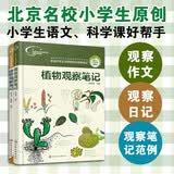 我的大自然观察笔记（套装共2册） 6-12岁 思维观察训练科普  全国名校小学生原创，观察方法+绘画方法 小学课外阅读百科观察 作文日记作业