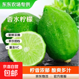 广东香水青柠檬 带箱3斤--净重2.5斤-单果净重【65克+】