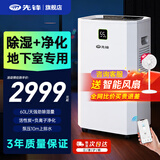 先锋（SINGFUN）2026新款家用除湿净化一体机室内防潮除湿除梅地下室专用60L吸湿抽湿免倒水自动上排水干燥除湿器 60L/天 APP智控【除湿净化一体机】升级款