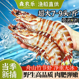 森农乐舟山竹节虾鲜活斑节虾特大九节虾冷冻野生大虾基围虾黑虎虾海虾类 1000g(净重)  22-26cm【7-9头/斤】