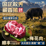 嘉平月西藏林芝藏香猪生鲜黑猪肉排骨五花肉新鲜屠宰农家土特产黑猪肉 臻品梅花肉【煎炸推荐】 净重5斤