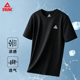 匹克短袖男冰丝速干t恤夏季透气健身服运动服吸汗羽毛球服黑色 2XL