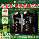贡苑2026新茶头采芽安吉白茶特级250g高端明前绿茶浙江茶叶自己喝送礼