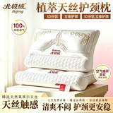 北极绒枕头枕芯带枕套天丝枕头深度睡眠颈椎枕成人睡觉专用中枕低枕高枕 一对 北极绒天丝枕头白色 中枕 48x74cm