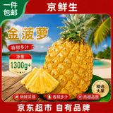 京鲜生超大金菠萝净重1300g+ 新鲜水果 源头直发