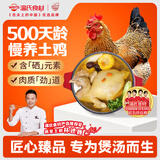 温氏供港老母鸡2.4斤 散养土鸡富硒老母鸡 冷冻走地鸡500天鸡汤