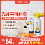 立邦墙面修复补墙膏补墙漆刮板防霉堵洞抗裂去污抗菌白色 100ml+500g