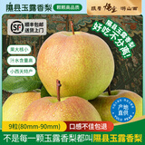 隰(xi)悦【顺丰】隰县玉露香梨当季水果山西隰县小西天特产孕妇水果送礼 9粒大果（净重5-6斤）单果80+mm