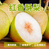 生活＆好管家陕西红香酥梨香梨甜脆爆汁当季薄皮新鲜酥梨青梨 红香酥梨净重4.5斤超值装