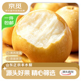 京觅山东丰水梨  净重3斤单果300g+ 新鲜水果源头直发包邮