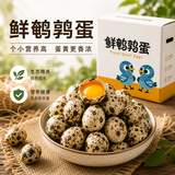 京觅新鲜鹌鹑蛋60颗现捡现发鹌鹑蛋小鸟蛋1.2斤生鲜 源头直发