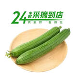 【24小时鲜】短丝瓜400g