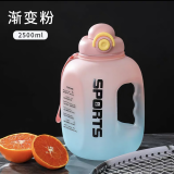 波比熊（BOBBI BEAR）运动水杯男大容量可装开水塑料杯耐高温吨桶大水杯女高颜值吸管杯 幻彩吨吨粉2500毫升+杯刷+吸管刷