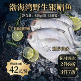 富海锦渤海银鲳鱼净重450g3条平鱼深海鱼烧烤食材烤鱼海鲜鱼类纯鱼肉