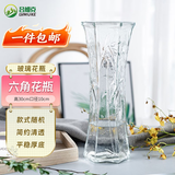 吕姆克花瓶富贵竹插花瓶玻璃客厅宿舍花瓶摆件大号透明随机高30cm5432
