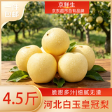 京鲜生河北辛集白玉皇冠梨 净重4.5斤 单果200g+  生鲜水果 源头直发