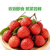 云南高山晚熟桂味荔枝 约250g