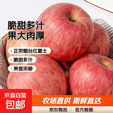 【东东农场专供】山东烟台红富士苹果脆甜多汁栖霞丑苹果 75mm+带箱5斤净重4.5斤