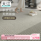 大江地毯客厅2026新款轻奢高级感新西兰进口羊毛地毯200x300cm