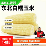 【东东农场专供】正宗头茬东北新鲜糯玉米软糯拉丝真空包装早餐 东北白糯玉米6支*200g+