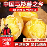 甘肃定西土豆当季现挖黄皮黄心产地直发沙糯面马铃薯洋芋新鲜蔬菜 中大果-3斤（净重）-黄皮黄心