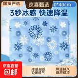 冰垫坐垫凉垫夏季汽车水垫降温神器宠物冰凉垫免注水学生冰凉坐垫 款式颜色随机---40*50cm