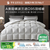 罗莱家纺 羽绒被芯 A类波兰进口95羽绒保暖冬被芯 净重约5.0斤