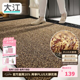 大江入户门地垫脚垫户外门口地毯硬丝进门垫90x150cm