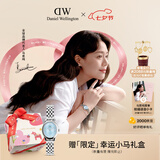 丹尼尔惠灵顿（DanielWellington）【马思纯同款】DW女士手表复古椭圆精致链条七夕礼物送女友DW809